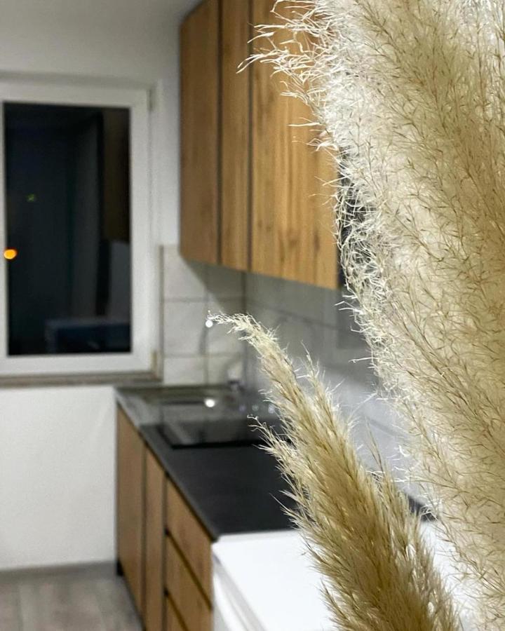 Modern Lux Apartment Brčko Esterno foto